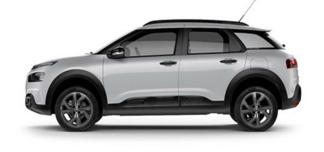 Alquiler de Auto C4 Cactus Feel